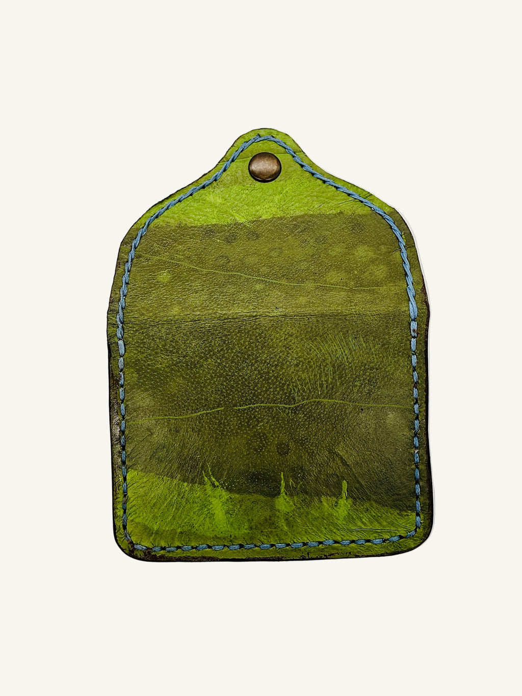 Cove Seagrass