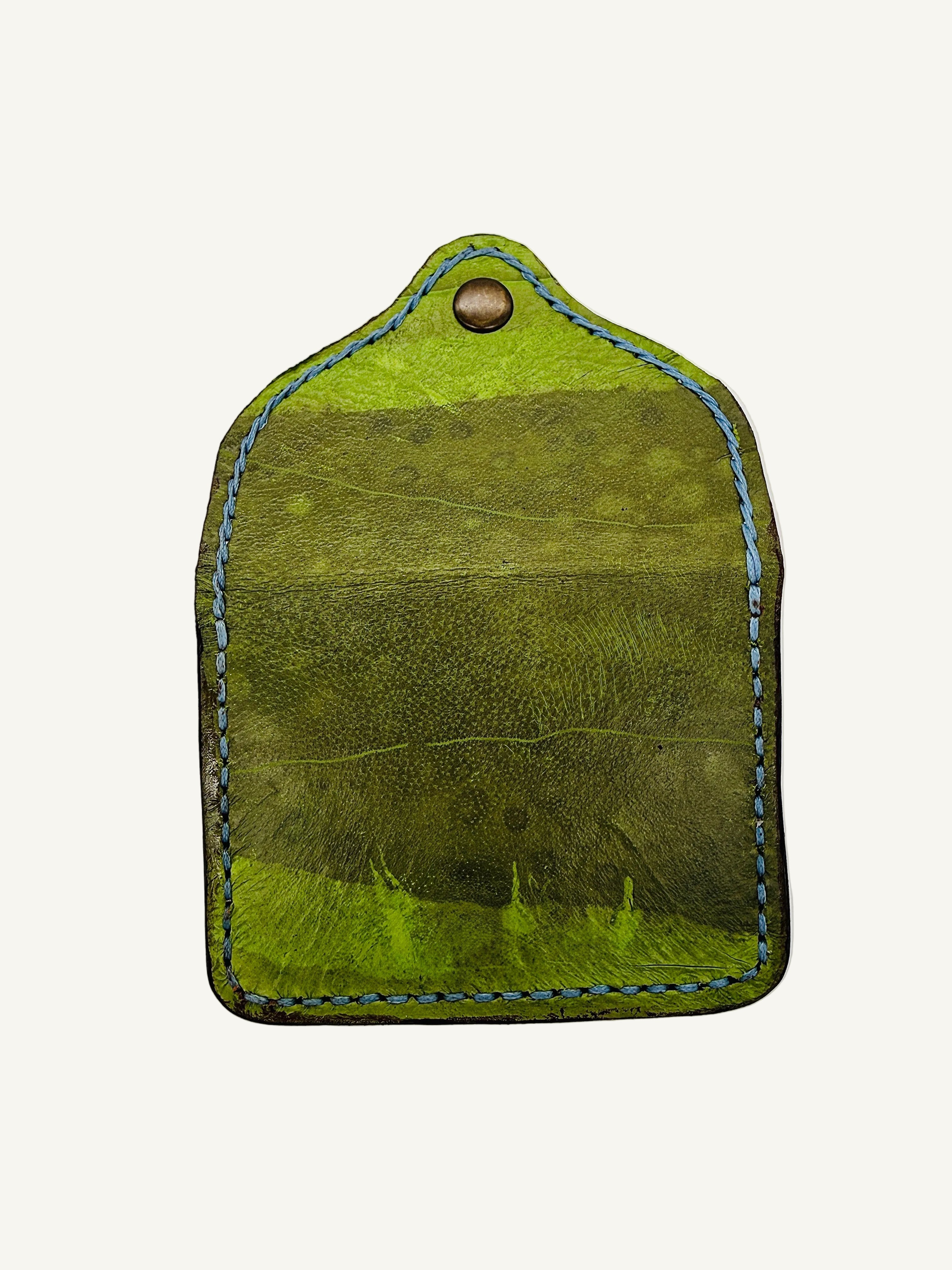 Cove Seagrass