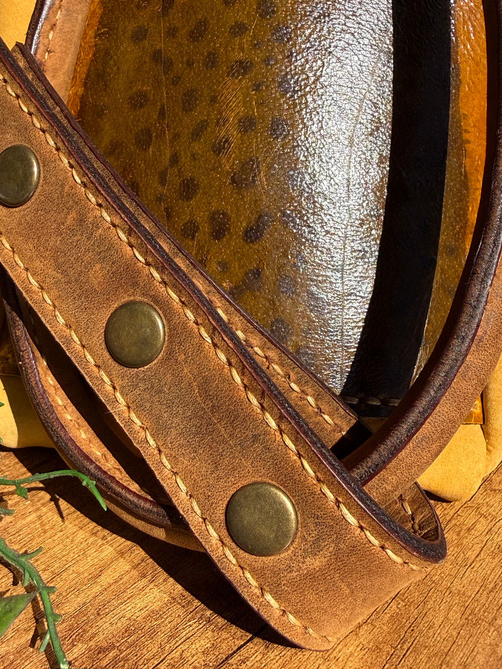 Cowrie Honey