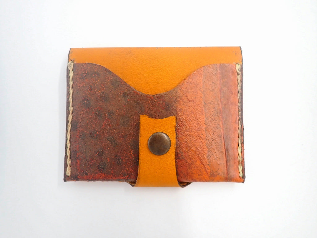 Golden ribboneel cardholder