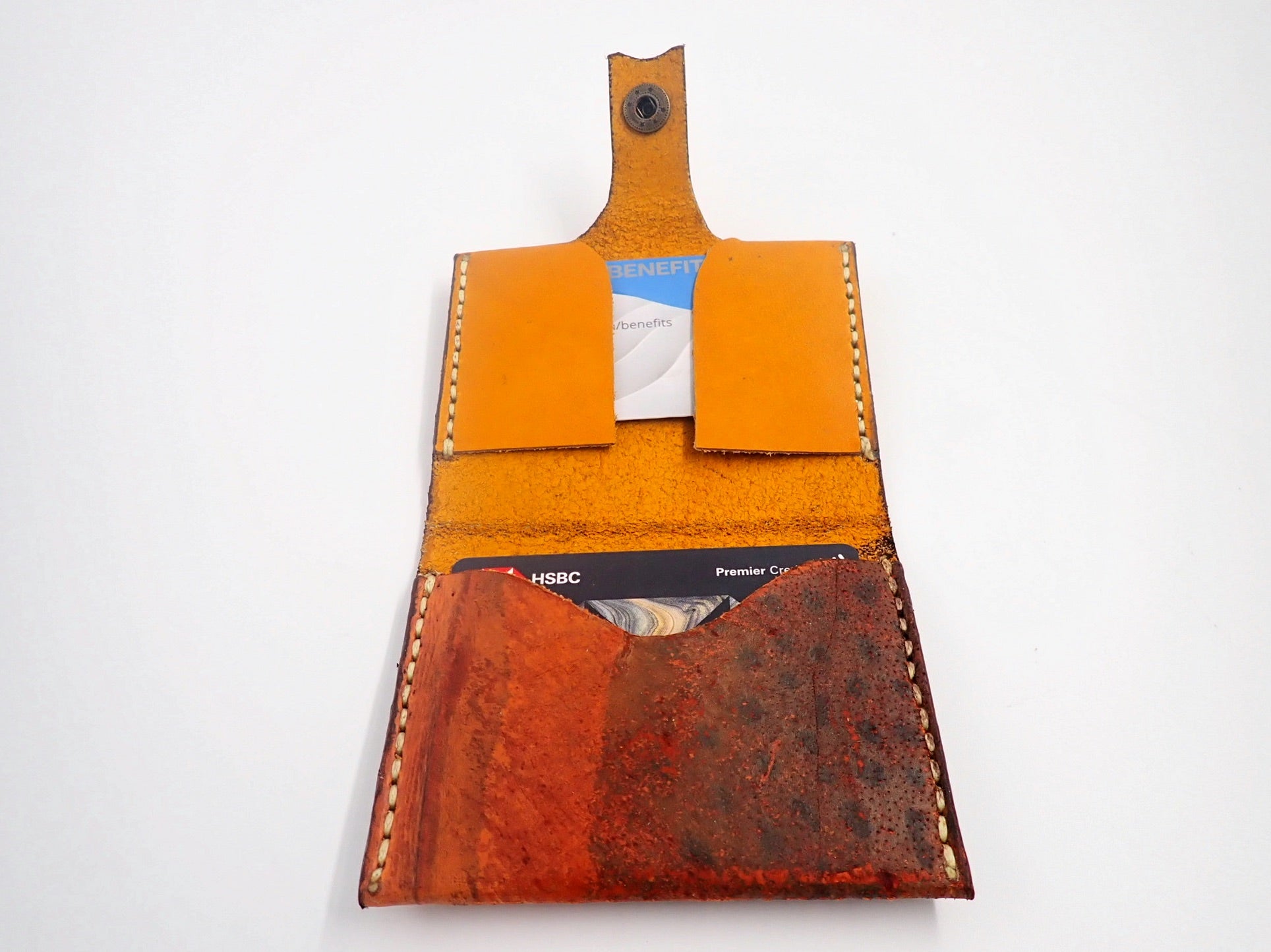 Golden ribboneel cardholder