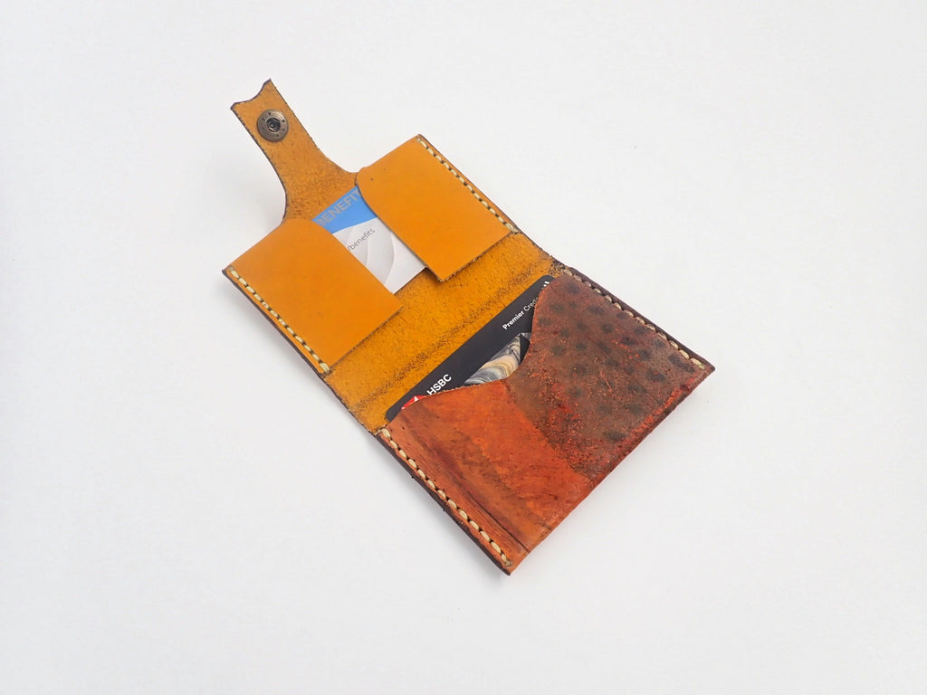 Golden ribboneel cardholder