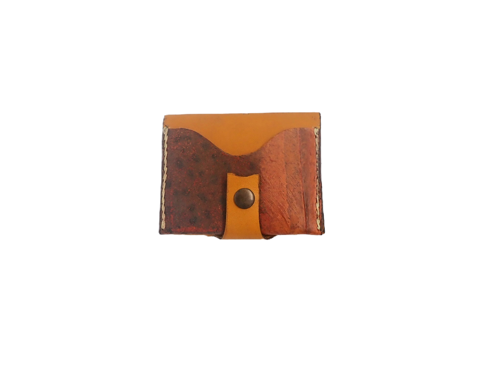 Golden ribboneel cardholder