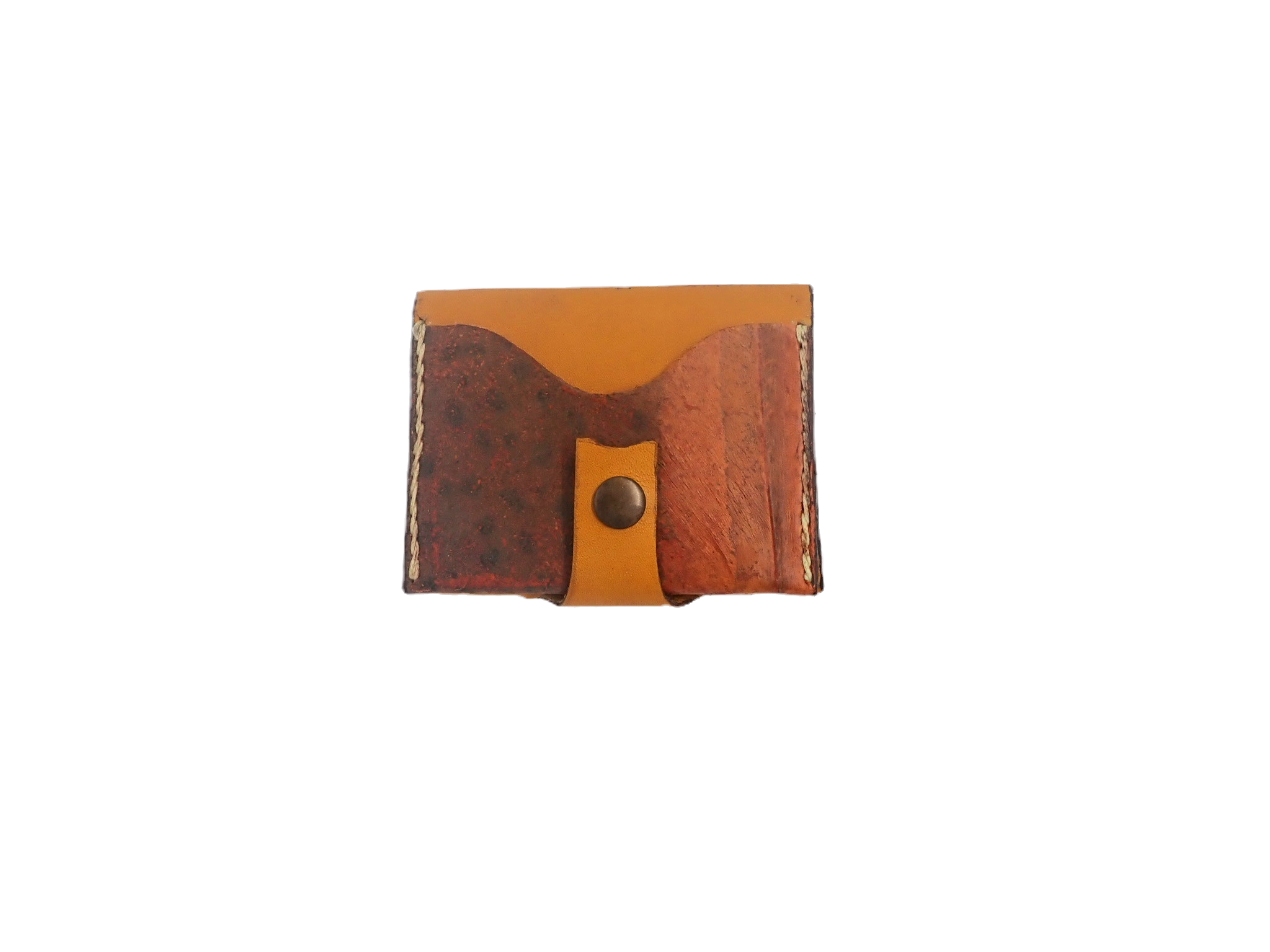 Golden ribboneel cardholder